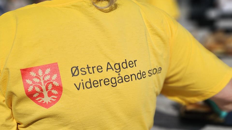 Lenke til artikkel: Opning av Østre Agder vgs
