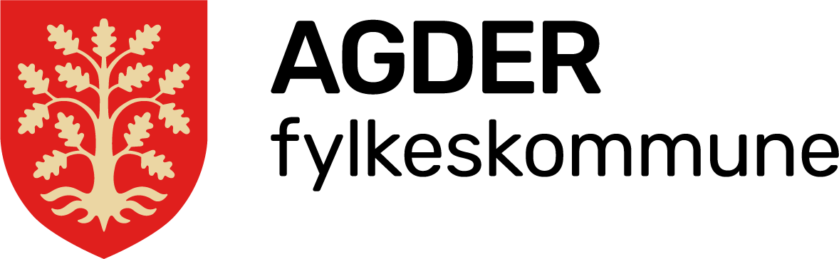 Nettskolen